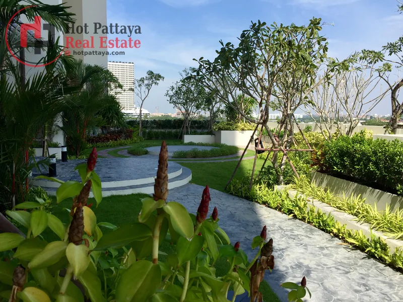 Bedrooms: 1 · Cetus Beachfront Condominium · #195 — 55 m², Floor 34 photo